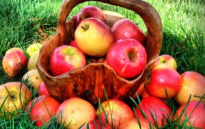 Яблоки для восстановления печени