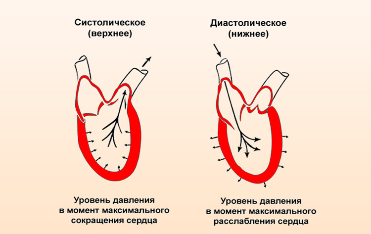 типы артериального давления