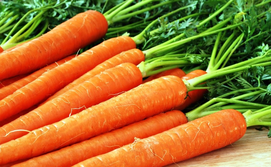 Польза моркови для печени