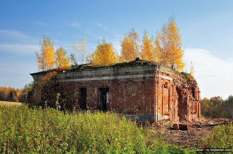 Руины усадьбы Путятино