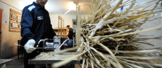 Заключенные изготавливают плетеную мебель в исправительной колонии № 10